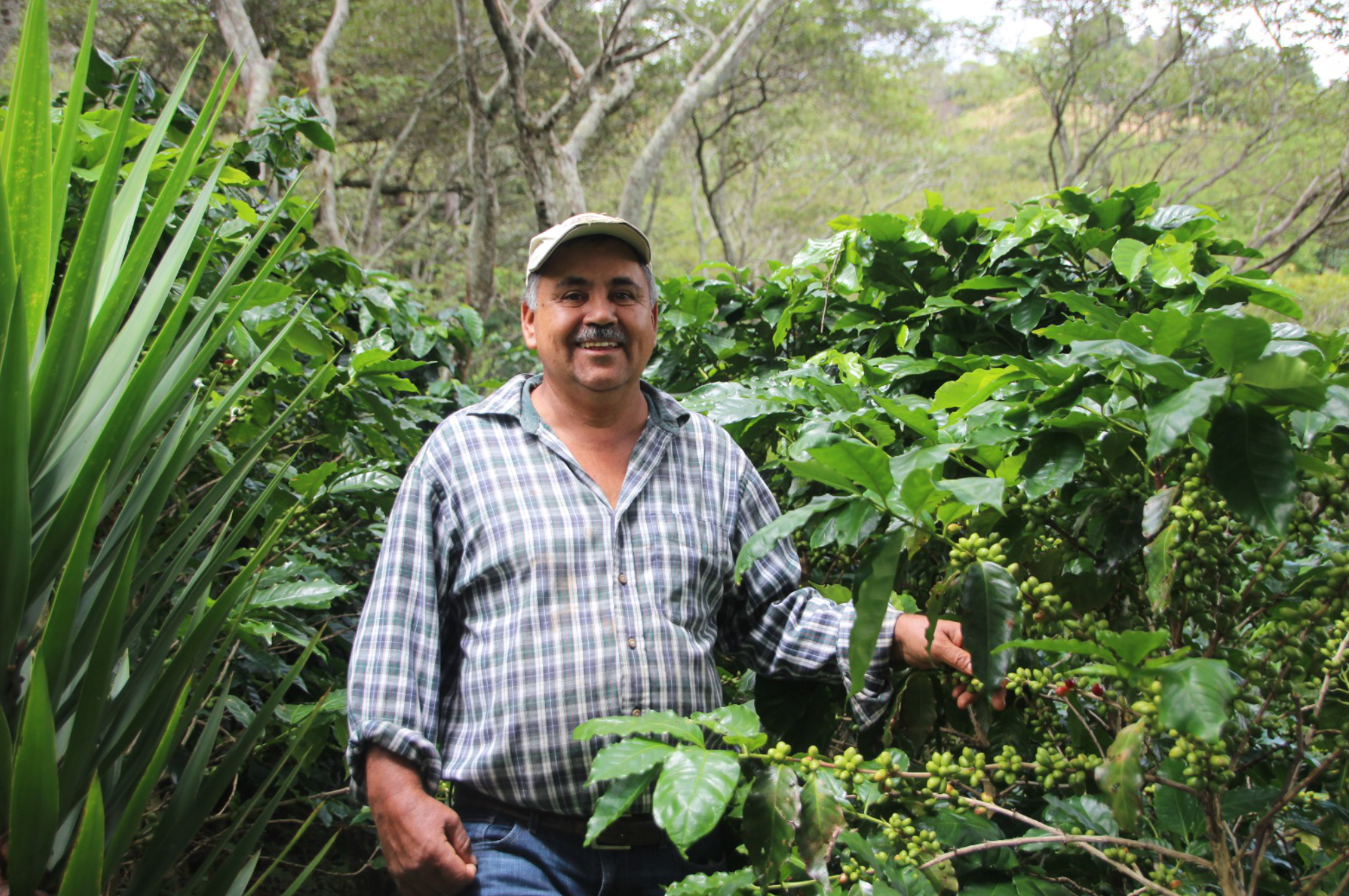 Collection of Finca La Balastrera in a gallery layout